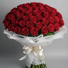 Букет 101 Красная роза Блэк Мэджик в Новочернореченский