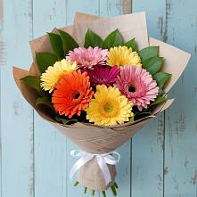 Букет цветов из:  Герберы #REPLACE_PRED# Новочернореченский