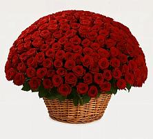 Премиум букет из: Розы в Новочернореченский